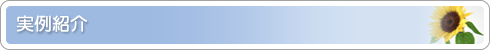 実例紹介